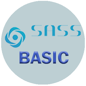 sass básico